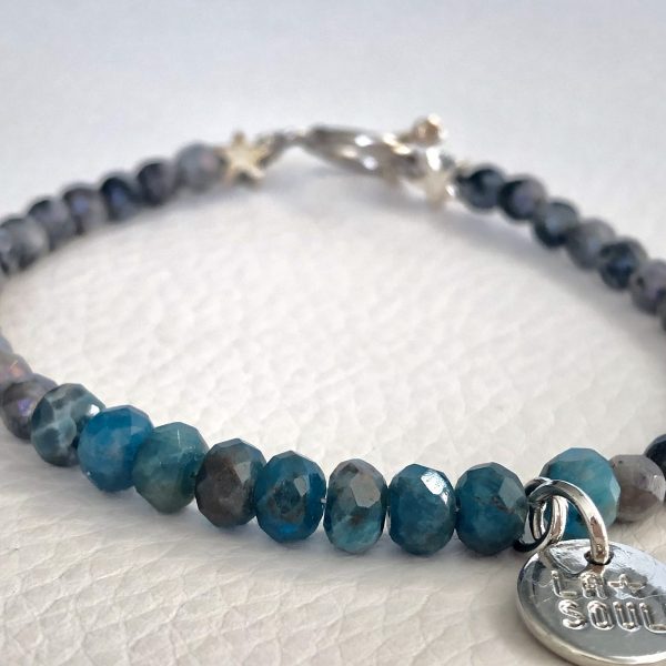 Larvikite rondelle facettée azurite